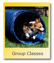 Group Classes 