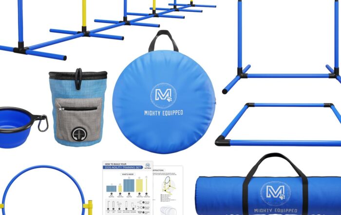 Image of agility equipment