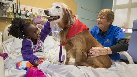 Yellow dog being petted by a little girl in a hospital