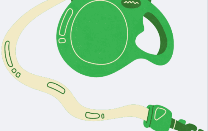 green retractable leash