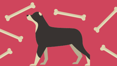 Black and tan cartoon dog with red background with bones