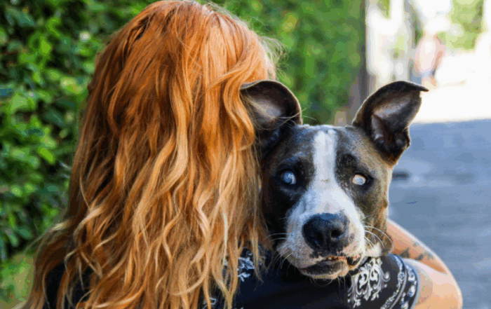 Person carrying a blind dog