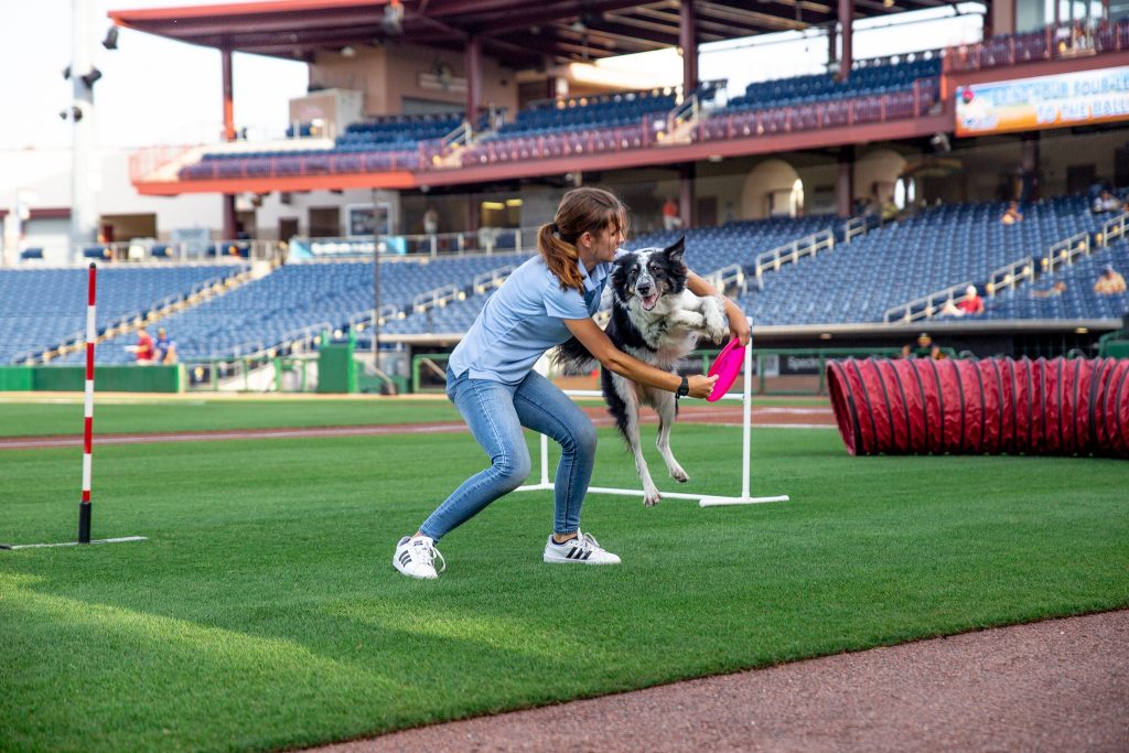 Dog Trick Training Musical Freestyle Tampa Courteous Canine