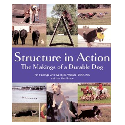 best dog training resources: structure in action