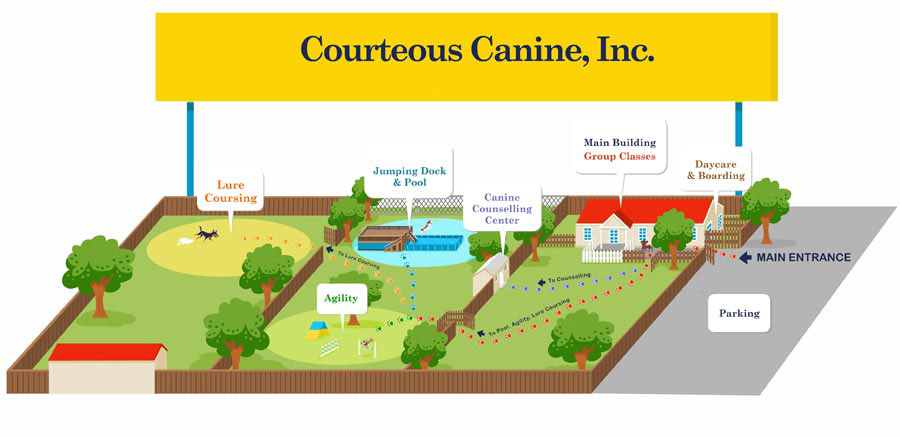 Courteous Canine Tampa Dog Training Campus