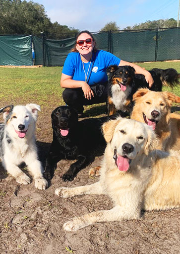 tampa doggie day care at courteous canine