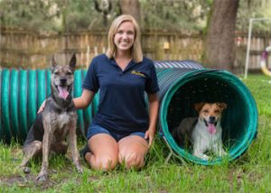 certified dog trainer tampa