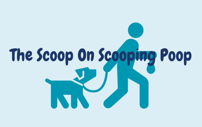 Person walking dog while holding a poop bag with text reading "the scoop on scooping poop"