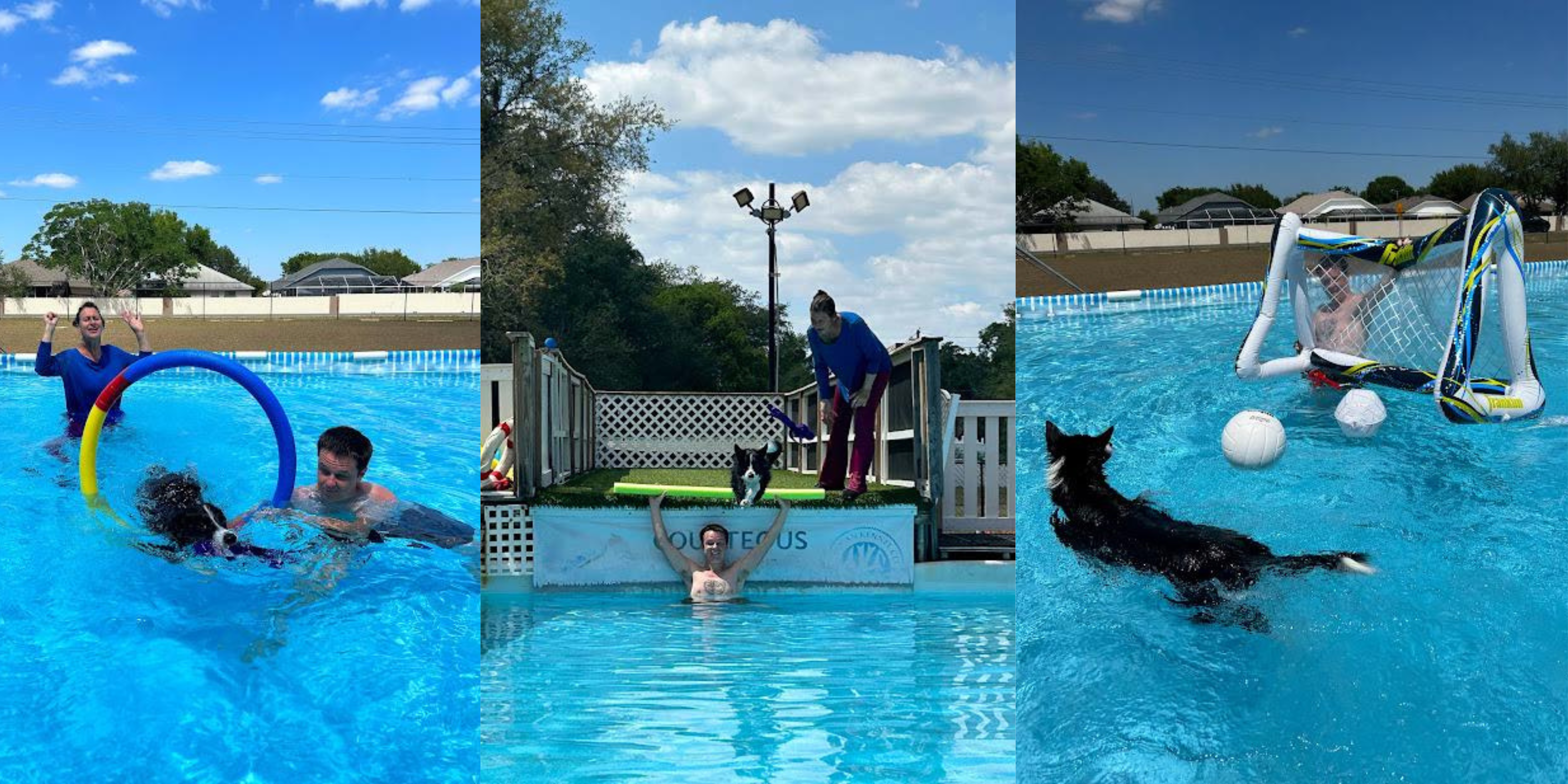 Dog going through a hoop in the pool, jumping over a person into pool, and playing soccer in pool