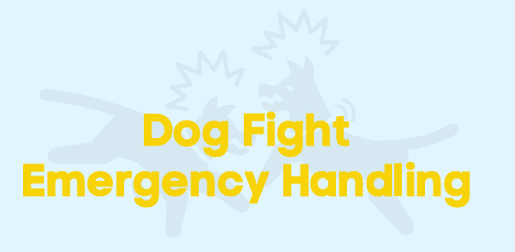 Silhouette of dog fight and article title