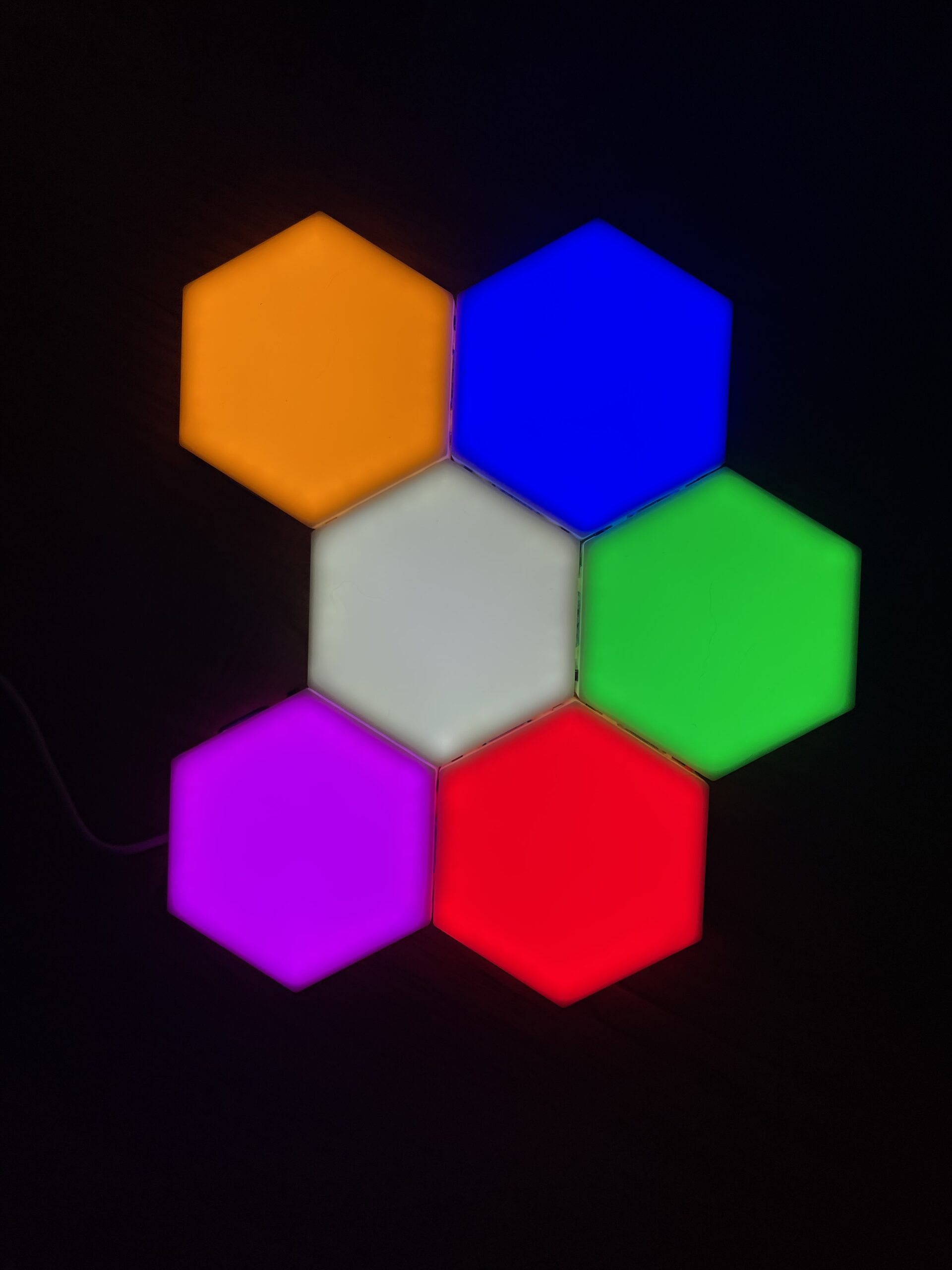 private dog training tampa at courteous canine